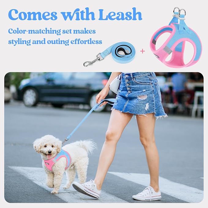 rabbitgoo Dog Harness Small Sized and Leash Set, Step-in Puppy Pet Vest | Light, Soft, Breathable Air Mesh, Easy on and Remove with Hook & Loop, Secure Reflective for Walking, Blue & Light Pink XS