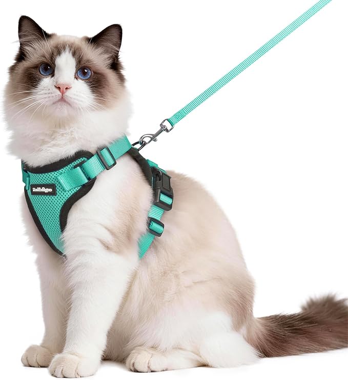 rabbitgoo Cat Harness and Leash Set, Escape Proof Vest, Emerald | Soft Breathable Mesh, Easy Adjustable Fit, Snap Buckles, Sturdy Clip, Reflective Strips, for Medium to Large Cats Walks, M