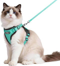 rabbitgoo Cat Harness and Leash Set, Escape Proof Vest, Emerald | Soft Breathable Mesh, Easy Adjustable Fit, Snap Buckles, Sturdy Clip, Reflective Strips, for Medium to Large Cats Walks, M