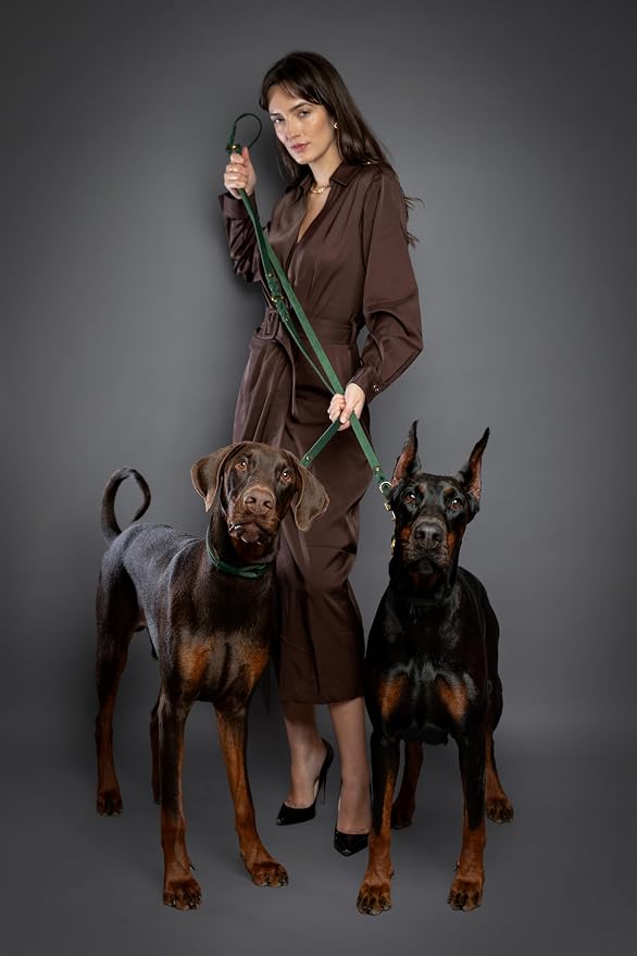 NOAH & PAW Leather Dog Leash, Premium Oil-Waxed Leather Braided, 8 ft Long Dog Leash with 6 Ways to Use Hands-Free, Quick-tie, Double Pet Lead Etc. Matching Collar Available. (Dark Green)