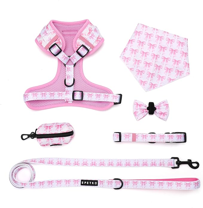 Small Dog Harness and Leash Set of 6, No Pull Soft Lightweight Mesh Puppy Harness, Adjustable Cute Floral Pattern Pet Harness for Small Medium Dogs (Pink Bow, XS)