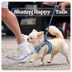 rabbitgoo Dog Harness Medium Sized and Leash Set, Step-in Puppy Pet Vest | Light, Soft, Breathable Air Mesh, Easy on and Remove with Hook & Loop, Secure Reflective for Walking, Blue Zigzag L