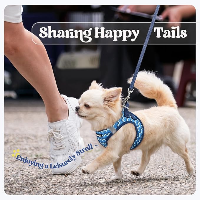 rabbitgoo Dog Harness Medium Sized and Leash Set, Step-in Puppy Pet Vest | Light, Soft, Breathable Air Mesh, Easy on and Remove with Hook & Loop, Secure Reflective for Walking, Blue Zigzag L