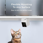 Petcube Cam – Indoor Wi-Fi Pet & Security Camera with App | 1080p HD video, 2-way audio, night vision, smart alerts for dog, cat & home security monitoring
