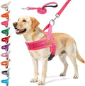 BEAUTYZOO Dog Harness for Large Dogs, No Pull Dog Harness and Leash Set, Soft Escape Proof Puppy Vest Harness with Handle, Reflective Lightweight Step in Harness for Girl Boy Dogs, Pink L