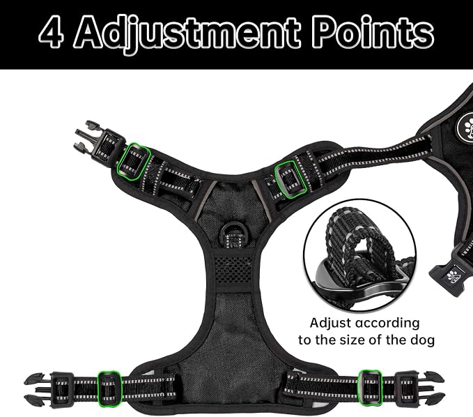 NESTROAD No Pull Dog Harness,Adjustable Oxford Dog Vest Harness with Leash,Reflective No-Choke Pet Harness with Easy Control Soft Handle for Small Dogs(Small,Black)