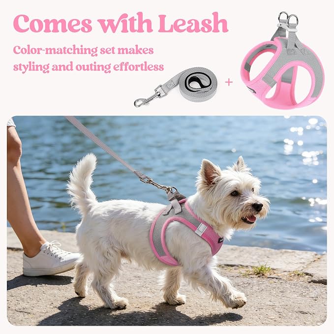 rabbitgoo Dog Harness Small Sized and Leash Set, Step-in Puppy Pet Vest | Light, Soft, Breathable Air Mesh, Easy on and Remove with Hook & Loop, Secure Reflective for Walking, Light Pink & Gray S