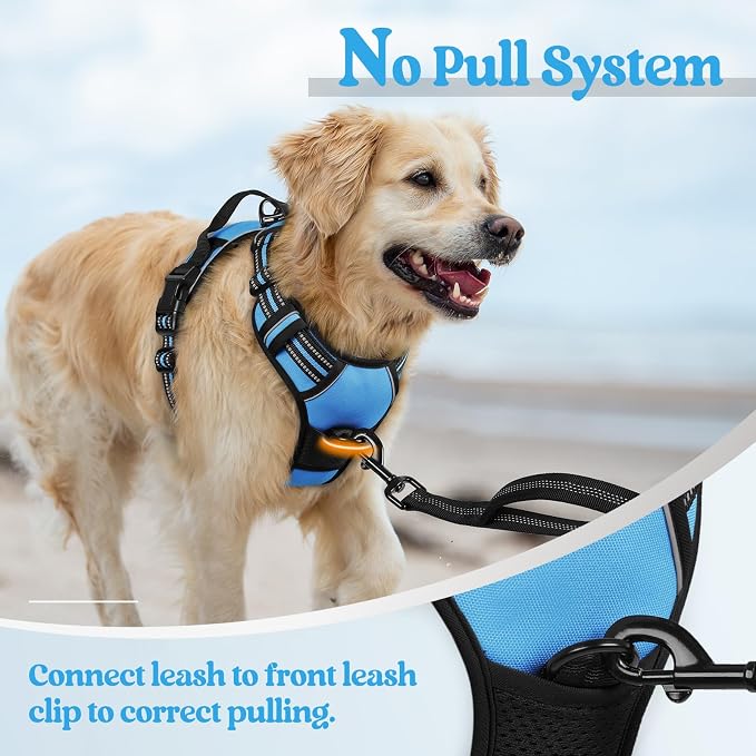 rabbitgoo Dog Harness, No Pull for Small Dogs with 2 Leash Clips, Pet Vest | No Choke with Handle, Adjustable Soft Padded, Reflective, Easy Control for Walking, Blue, Small