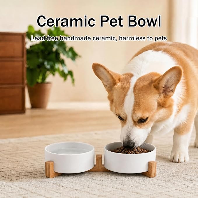 MateeyLife Ceramic Dog and Cat Bowls with Stand, 2-Pack Food and Water Bowl Set - Non-Slip Pet Bowls for Cats,Puppies and Small Dogs, 13.5OZ（White）