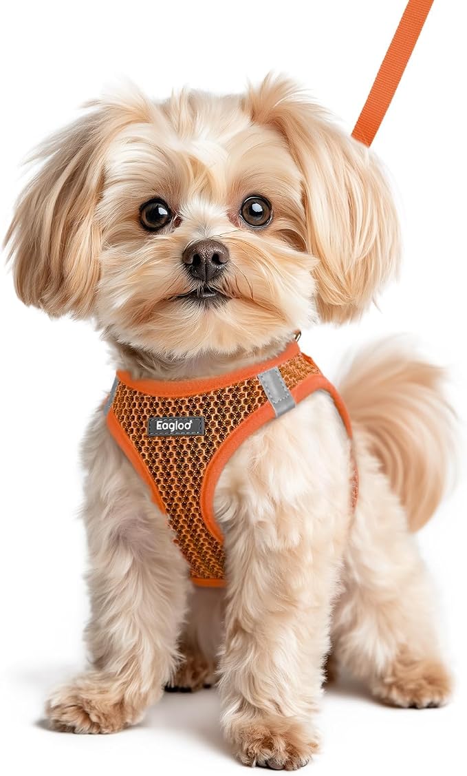 Eagloo Small Dog Harness and Leash Set, Step in Small Sized Puppy Pet Vest | Light, Soft, Breathable Air Mesh, Easy on and off with Hook & Loop, Reflective for Safe Walking, Orange, XS