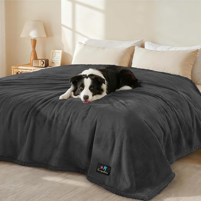 Luciphia Waterproof Pet Blanket, Liquid Pee Proof Dog Blanket for Sofa Bed Couch, Reversible Sherpa Fleece Furniture Protector Cover for Small Medium Large Dogs Cats, Black X-Large（85" x 57"） | waterproof pet blanket sherpa fleece reversible couch cove...