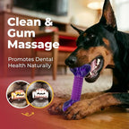 Tough Dog Toys for Aggressive Chewers Large Breed, Dog Chew Bone with Bacon Flavor, Pure Nylon Chew Toy for Medium Large Dogs, Bacon Flavor, Purple