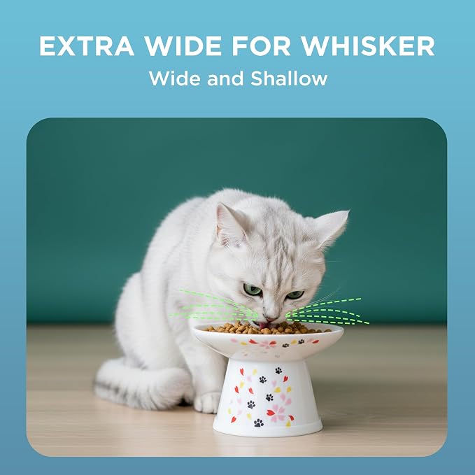 Necoichi Extra-Wide Raised Cat Food Bowl (Sakura, Extra Wide)