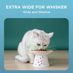 Necoichi Extra-Wide Raised Cat Food Bowl (Sakura, Extra Wide)