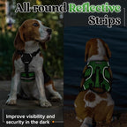 rabbitgoo Escape Proof Dog Harness for Small, No Pull with Lift Handle | No Escape, Full Soft Padded, Reflective Adjustable Vest, Leash Clip for Walking Hiking Training, Green, Small