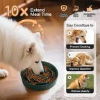 8.25'' Ceramic Slow Feeder Dog Bowls - Petal Shape Modern Dog Food Dish for Medium and Large Breeds, Puzzle Maze Bowl to Slow Down Eating, Anti-Gulping, Dishwasher & Microwave Safe, Green