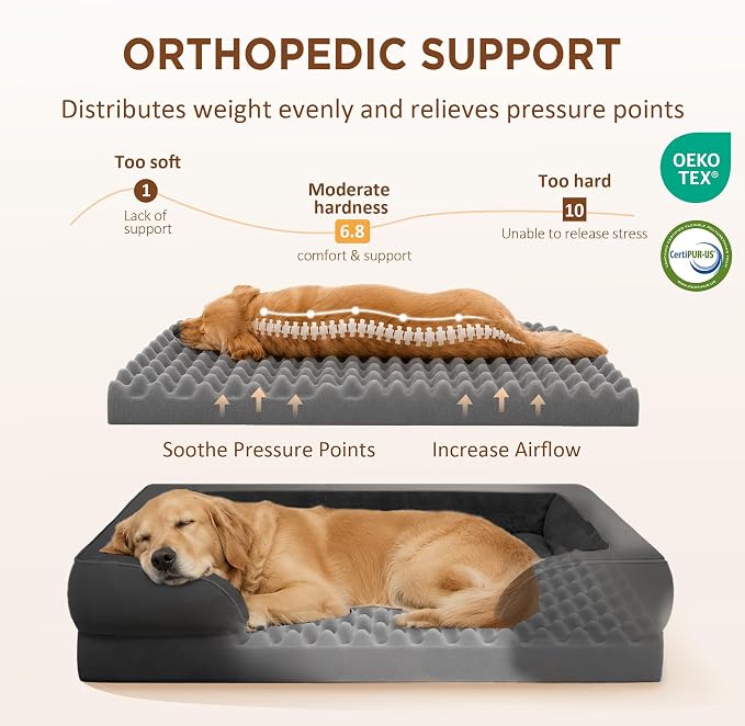 Comfort Expression Orthopedic Dog Beds for Large Sized Dog with Bolster | Waterproof Dog Couch Bed with Washable Cover & Non-Slip Bottom, Supportive Egg Crate Foam Large Pet Bed, 38x25 Inch