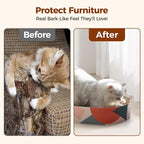 ComSaf Cat Scratcher Bed 17 x 13 in, Oval Cardboard Scratch Pad for Cats | Cat Scratching Board, Corrugated Cardboard, Shallow Bowl Shape, Furniture Protection, Indoor Cat Lounger, Claw Care