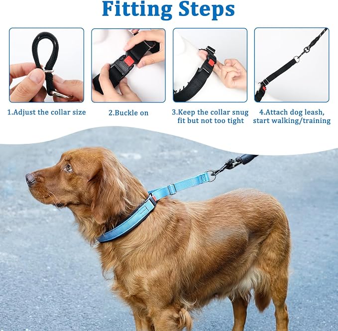 Mayerzon No Pull Dog Collar Martingale, Blue, S | Neck Cir 11.5"-14.5" | For Small Medium Large Dogs, Buckle, Heavy Duty Nylon, For Walking Training Hunting, Adjustable, Safe & Easy to Use, Patented