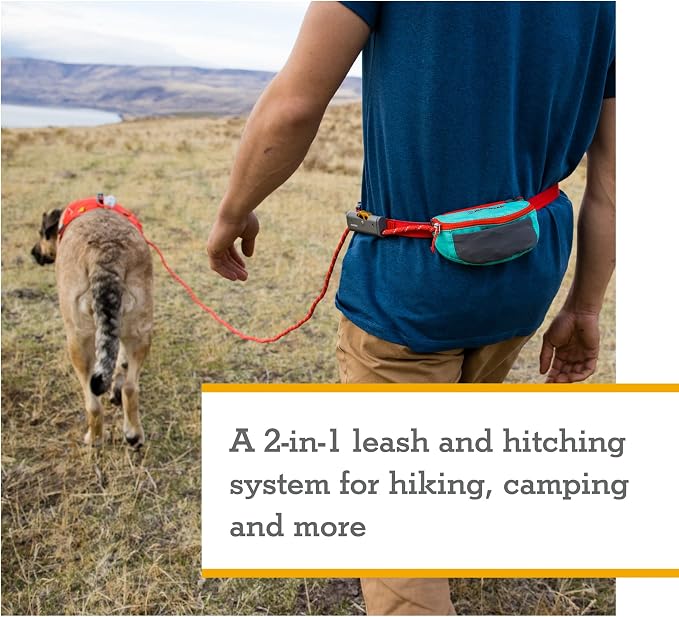 Ruffwear, Hitch Hiker Dog Leash, Adjustable Leash & Hitching System for Camping & Hiking, Sunny Lime