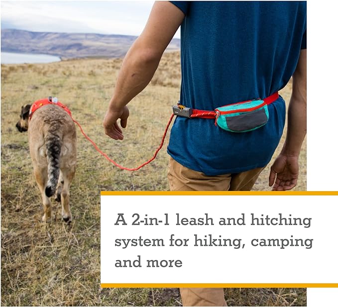 Ruffwear, Hitch Hiker Dog Leash, Adjustable Leash & Hitching System for Camping & Hiking, Red Currant