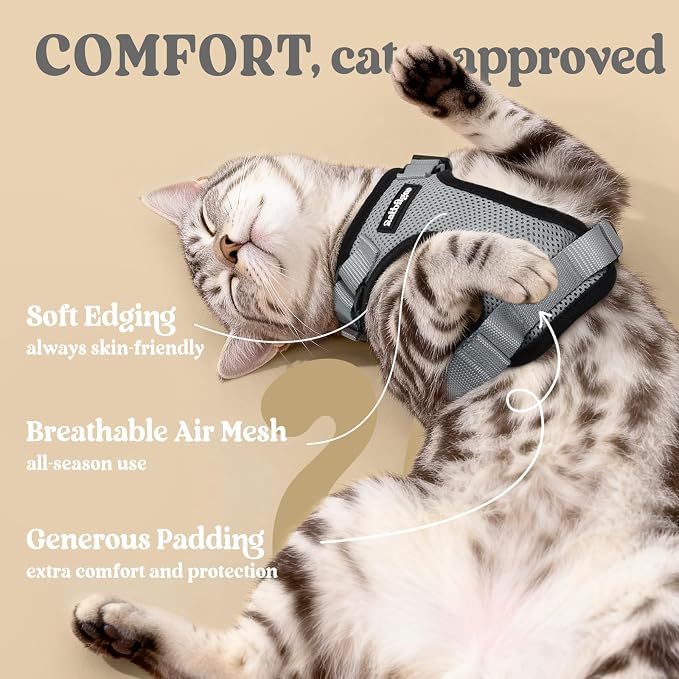 rabbitgoo Cat Harness and Leash Set, Escape Proof Vest, Grey | Soft Breathable Mesh, Easy Adjustable Fit, Snap Buckles, Sturdy Clip, Reflective Strips, for Medium to Large Cats Walks, M