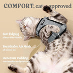 rabbitgoo Cat Harness and Leash Set, Escape Proof Vest, Grey | Soft Breathable Mesh, Easy Adjustable Fit, Snap Buckles, Sturdy Clip, Reflective Strips, for Average Cats Walks, S