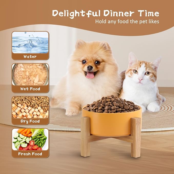 Elevated Ceramic Cat Bowl - Cat Food Bowl with Bamboo Stand - Raised Dog Dish for Puppies - Anti Vomiting, Stress Free - 13.5 oz / 400 ml - White