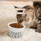 2 Pack Ceramic Elevated Cat Bowls, 6" Extra Wide Tilted Raised Pet Dish, Whisker Friendly Food and Water Bowl for Small Dogs, Anti Vomiting & Protect Pet's Spine, Microwave Dishwasher Safe