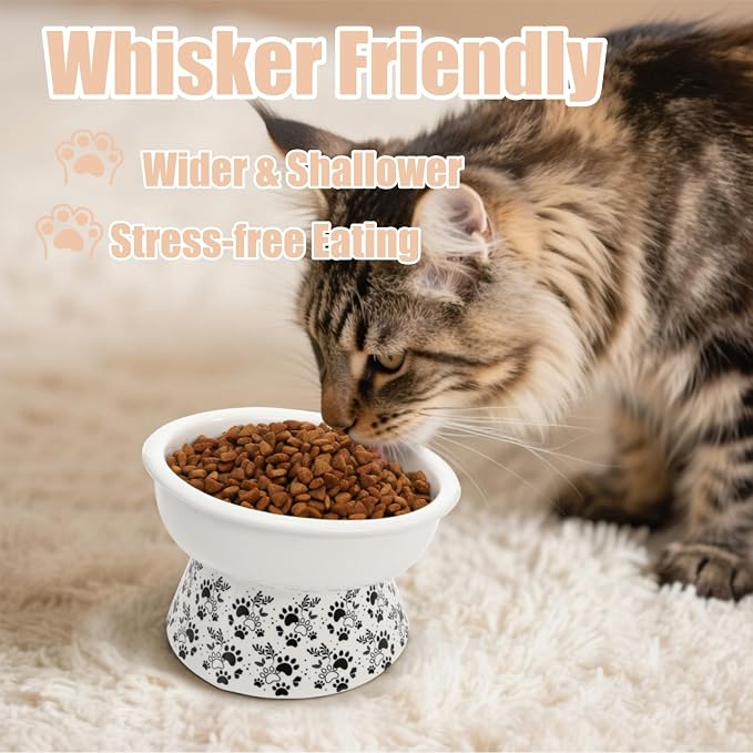 2 Pack Ceramic Elevated Cat Bowls, 6" Extra Wide Tilted Raised Pet Dish, Whisker Friendly Food and Water Bowl for Small Dogs, Anti Vomiting & Protect Pet's Spine, Microwave Dishwasher Safe