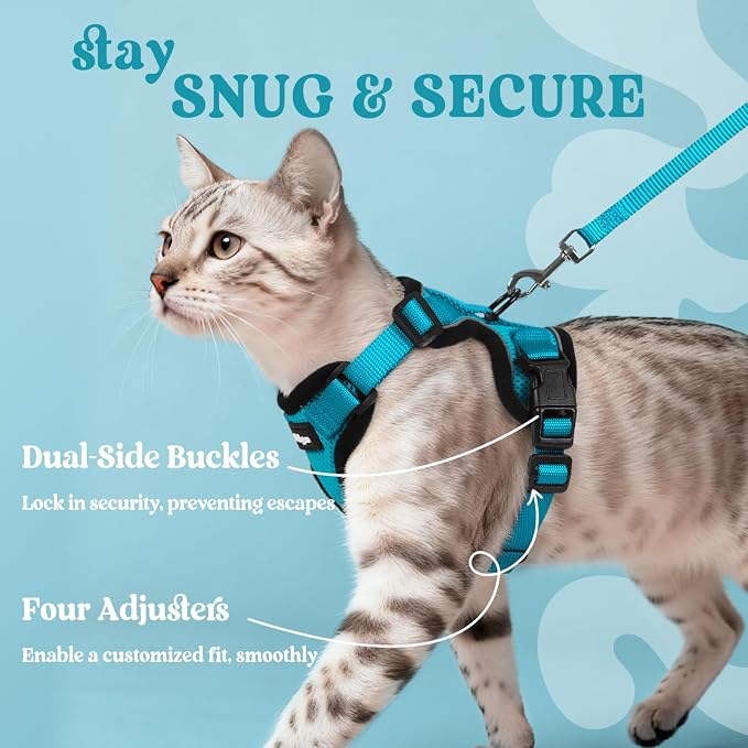 rabbitgoo Cat Harness and Leash Set, Escape Proof Vest, Teal | Soft Breathable Mesh, Easy Adjustable Fit, Snap Buckles, Sturdy Clip, Reflective Strips, for Average Cats Walks, S