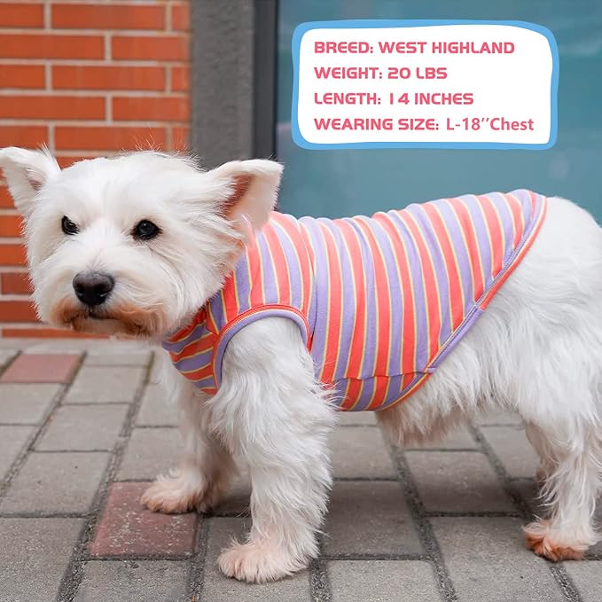 KYEESE 2Pack Dog Shirt, Soft Striped Dogs T Shirts, Lightweight Pet Tank Top, Sleeveless Dog Shirt for Medium Dogs, Stretchy Comfortable Pet Vest, Purple+Orange Striped, 2XL