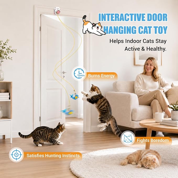 Interactive Cat Toys for Indoor Cats, Automatic Flying Bird & Mouse | Chase Exercise Enrichment Stimulation, USB Large-capacity Rechargeable Electric Door Hanging Toy for Bored Kitten & Adult Cat