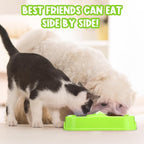 Hsei 12 Pcs Plastic Double Cat Dog Food Water Bowl,9.44 x 5.12 x 2.16 Inch | 12 Pack Bulk Set, PP Plastic, Raised Design, Dishwasher Safe, for Kennel Cattery Small Medium Pet Supplies, 3 Assorted Colors
