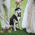 Kuoser Dog Tuxedo, Dog Suit and Bandana Set, Dogs Costume with D-Ring | Formal Dog Outfit with Detachable Bowtie Collar for Wedding, Birthday, Party, Christmas, Halloween, Black Strips XL