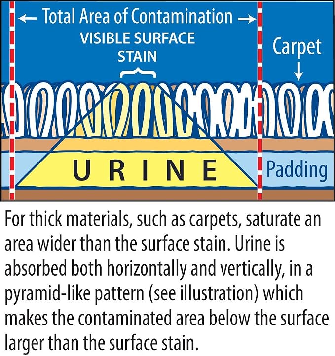 Instantly Urine Odor Remover & Eliminator for Cat Urine, Oxidizer Based Urine Cleaner for Carpets, Rugs, Mattress, etc. 128 Oz (1 Gallon)
