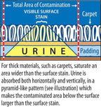 Instantly Urine Odor Remover & Eliminator for Cat Urine, Oxidizer Based Urine Cleaner for Carpets, Rugs, Mattress, etc. 128 Oz (1 Gallon)