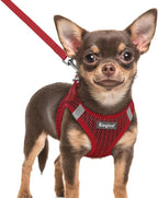 Eagloo Small Dog Harness and Leash Set, Step in Extra Small Puppy Pet Vest | Light, Soft, Breathable Air Mesh, Easy on and off with Hook & Loop, Reflective for Safe Walking, Red, XXS