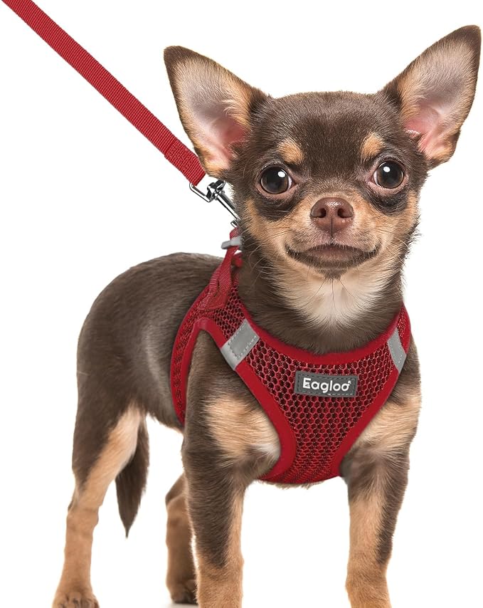 Eagloo Small Dog Harness and Leash Set, Step in Extra Small Puppy Pet Vest | Light, Soft, Breathable Air Mesh, Easy on and off with Hook & Loop, Reflective for Safe Walking, Red, XXS