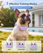 PATPET Shock Collar for 2 Dogs, 4000ft IPX7 Waterproof for 10-120lbs Dogs | Rechargeable 3 Training Modes (Beep/Vibration/Shock) Dog Training Collar with Remote Control for Small Medium Large Dogs