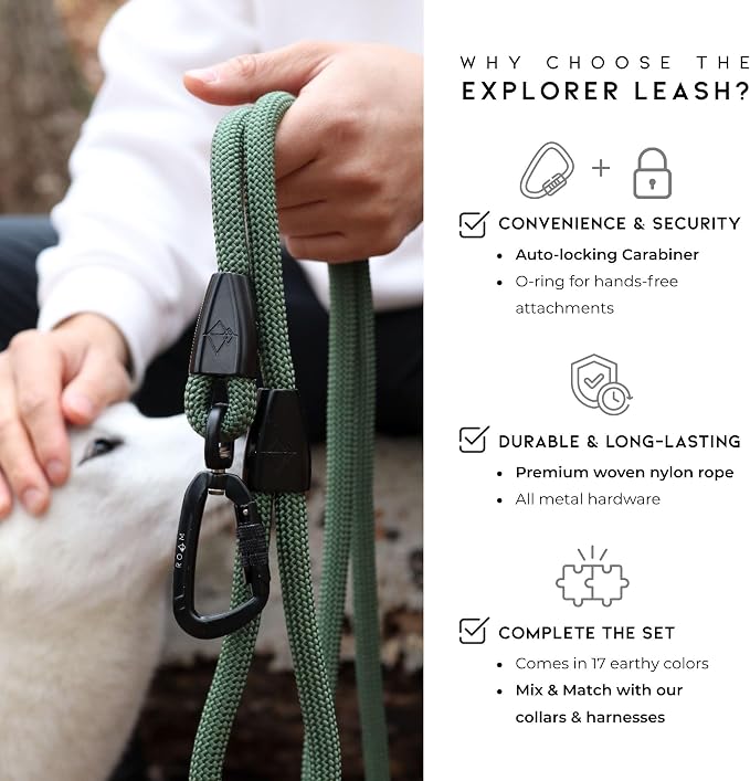 MADE TO ROAM Premium Explorer Leash - Climbing Rope Leash with Autolocking Aviation Aluminum Carabiner - Oregon Haze, 6ft