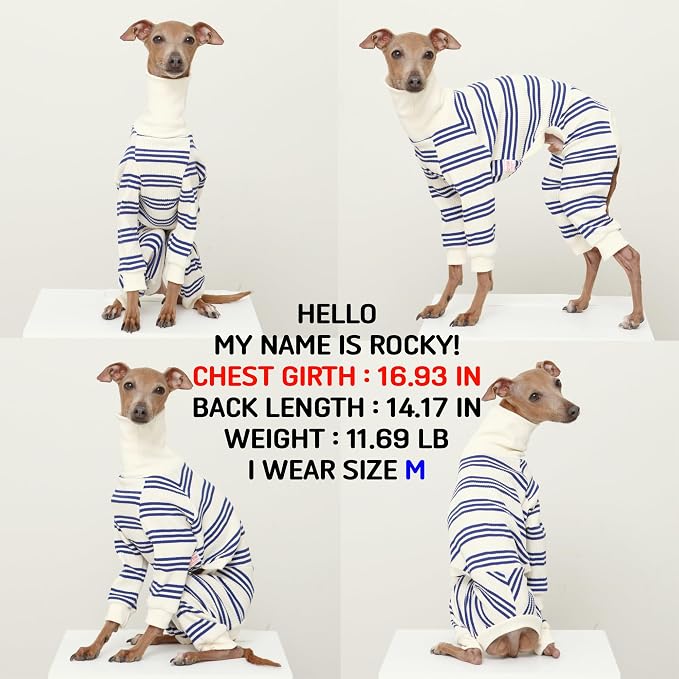 D Doggy Star Italian Greyhound Clothes Soft Stretchy Onesie Refined Stripe Outfit Whippet for Dog Coat (XL,Onsi Blue Str)