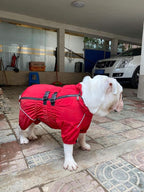 Lovelonglong Waterproof Dog Raincoat – 4-Leg Full Body Dog Rain Suit with Reflective Strips & Leash Opening, Outdoor Dog Jacket for Rainy Weather