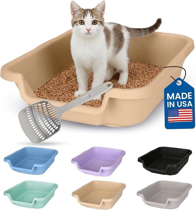 KittyGohere Senior Cat Litter Box Small with Scoop, Beach Sand | Open Top Low Entrance Kitty Litter Box With With Long-handle Jumbo Scoop, Lightweight & Durable Litters Box, Made in USA