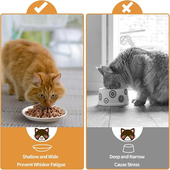 5.9 inch Ceramic Cat Bowls,Wide Shallow Dishes,Whisker-Friendly Plates,Food and Water Bowl for Indoor Cats,-10 oz,3 Pack
