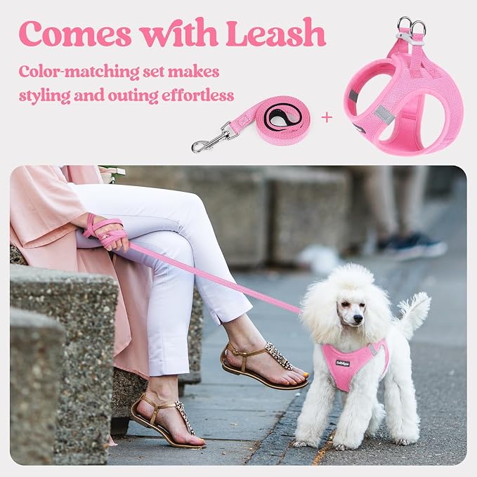 rabbitgoo Dog Harness Medium Sized and Leash Set, Step-in Puppy Pet Vest | Light, Soft, Breathable Air Mesh, Easy on and Remove with Hook & Loop, Secure Reflective for Walking, Light Pink XXL