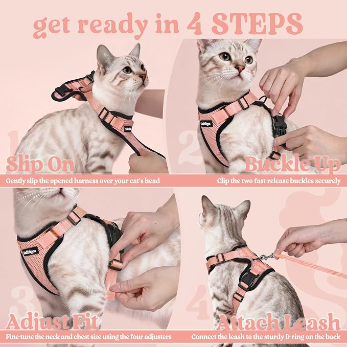 rabbitgoo Cat Harness and Leash Set, Escape Proof Vest, Light Salmon Pink | Soft Breathable Mesh, Easy Adjustable Fit, Snap Buckles, Sturdy Clip, Reflective Strips, for Medium to Large Cats Walks, M