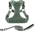 Best Pet Supplies Voyager Adjustable Step-in Flex Breathable Mesh Dog Harness for Small Medium Large Dogs Leash Set (Moss Green), M