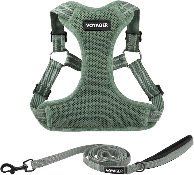 Best Pet Supplies Voyager Adjustable Step-in Flex Breathable Mesh Dog Harness for Small Medium Large Dogs Leash Set (Moss Green), M