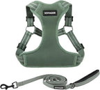 Best Pet Supplies Voyager Adjustable Step-in Flex Breathable Mesh Dog Harness for Small Medium Large Dogs Leash Set (Moss Green), XS